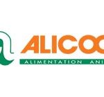 Alicoop