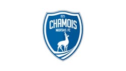 chamois