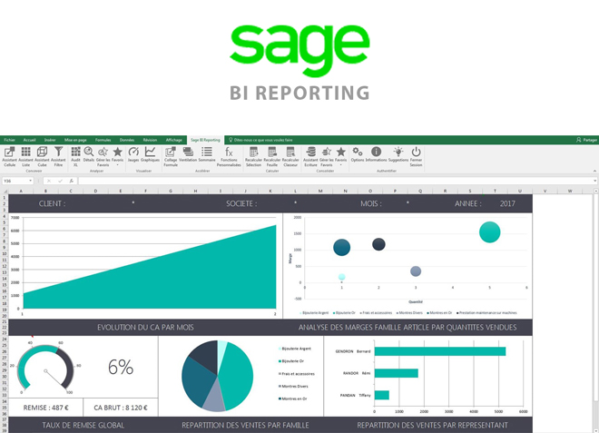Sage BI reporting