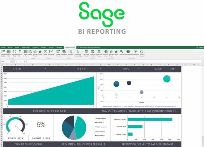 Sage BI Reporting