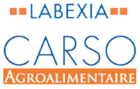 Logo Labexia Carso