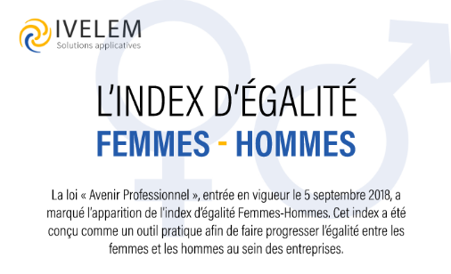 Livre blanc - Index d'égalité femmes-hommes